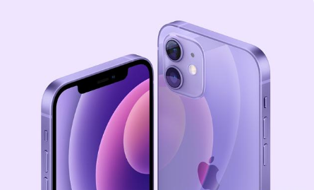 石排镇苹果手机维修分享紫色版iPhone 12有什么技术亮点 